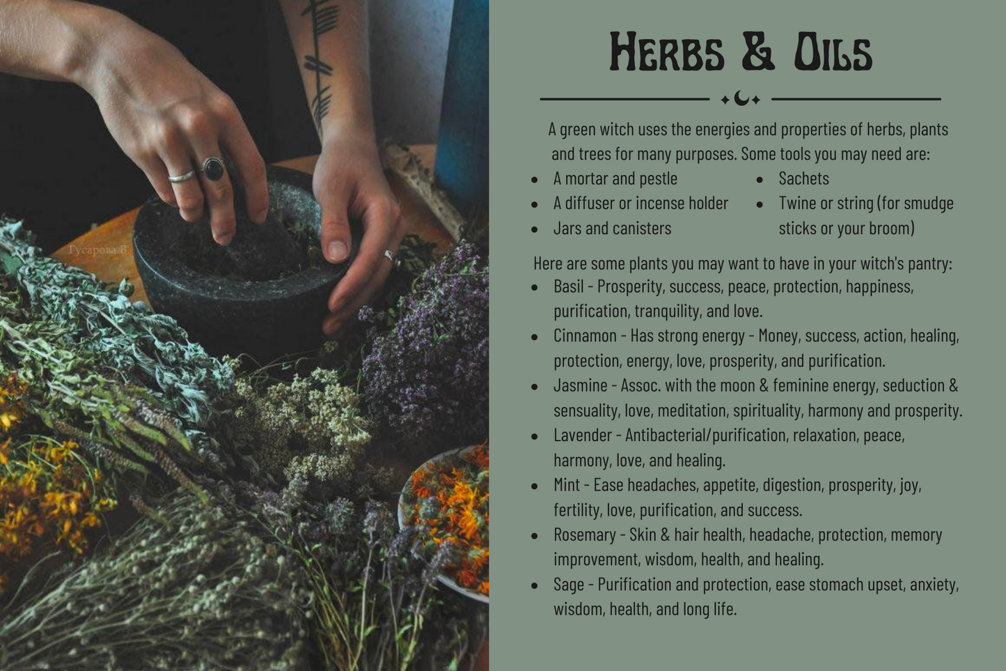 Magical Herbs Progress Keeper