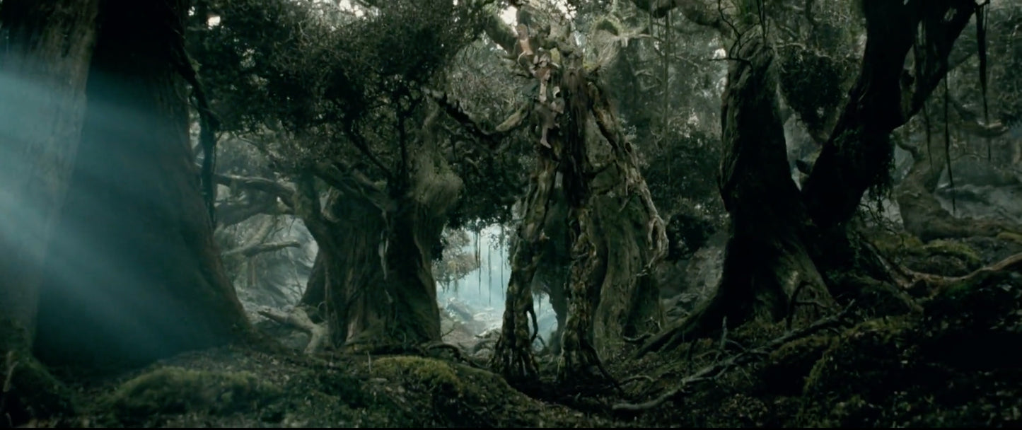 Fangorn Forest on MINE. (AMS) DK