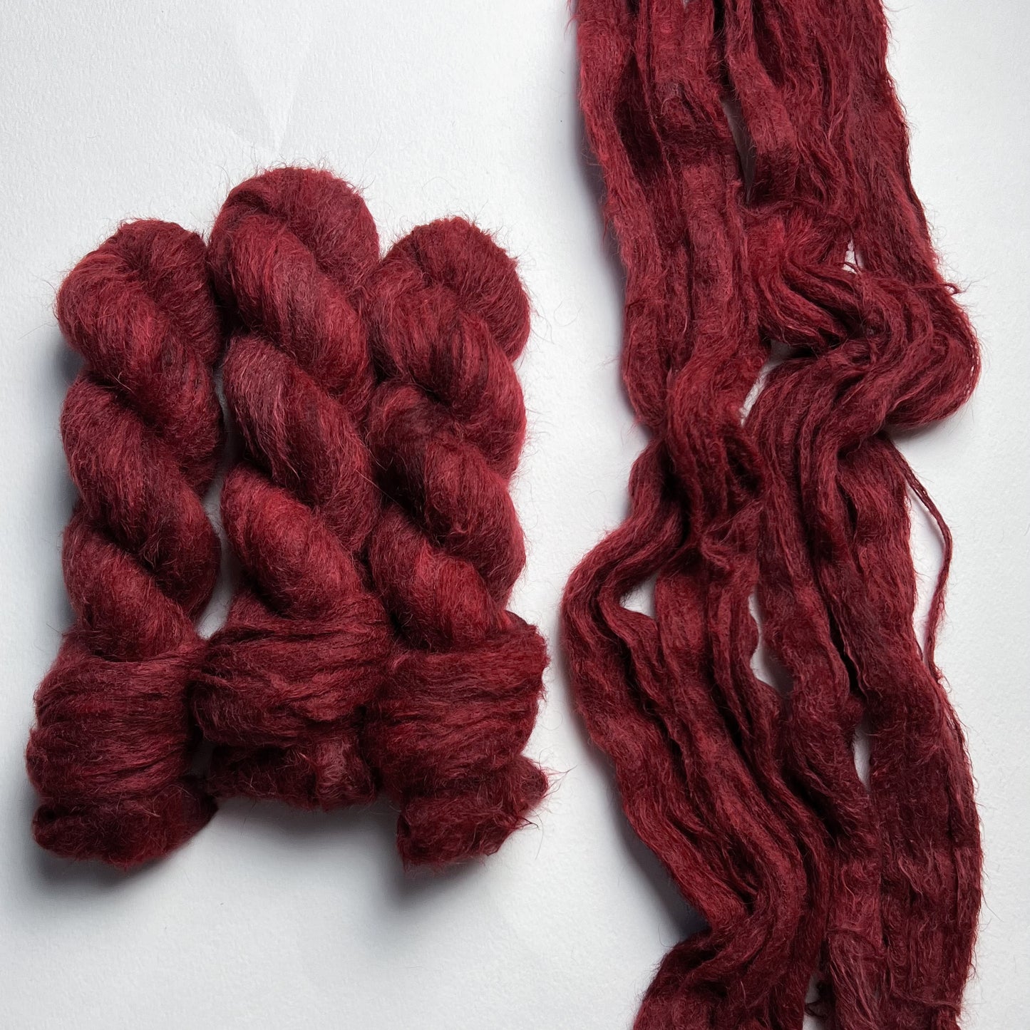 La Saint-Marc sur la dentelle de proximité forcée (Suri)