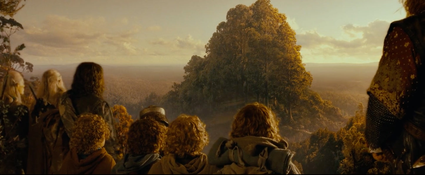 Trees of Lothlórien on Morally Grey (MSY) DK