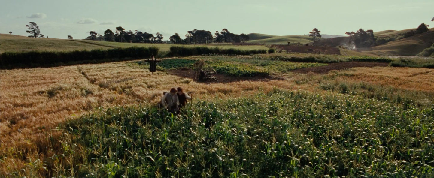 If I Take One More Step on Morally Grey (MSY) DK