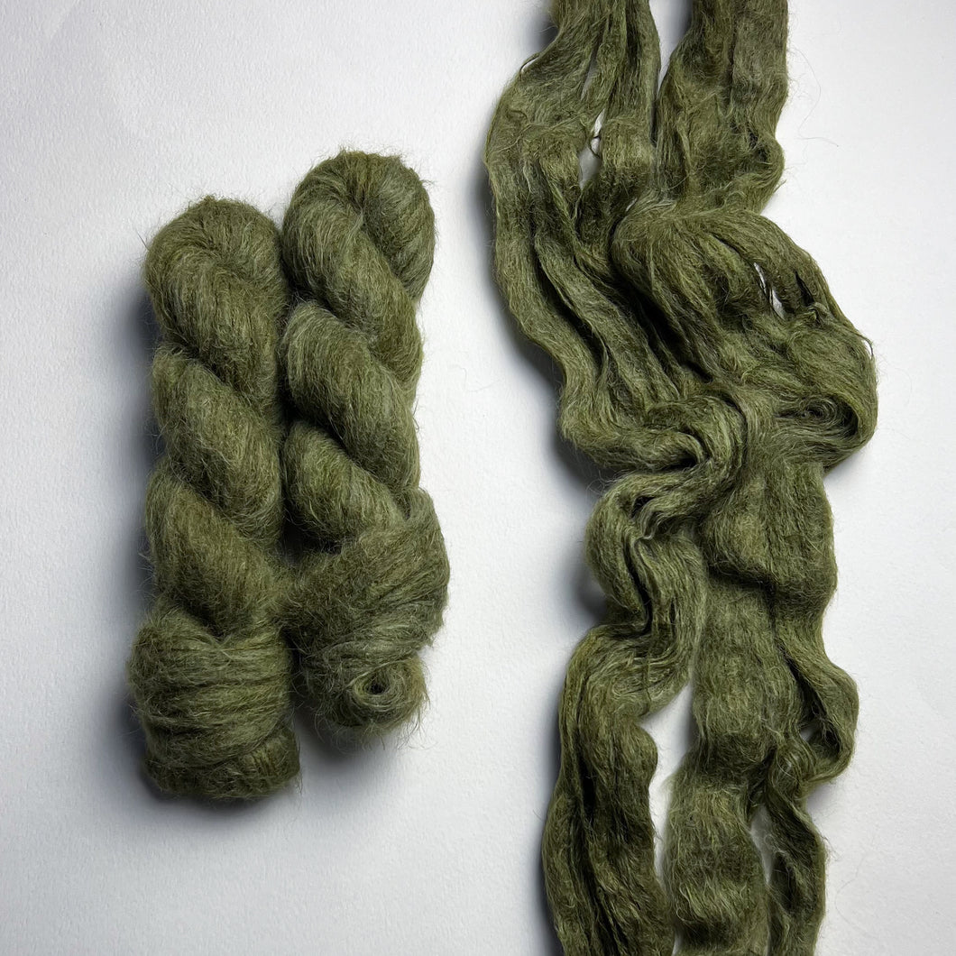 Olive on Forced Proximity (Suri) Lace